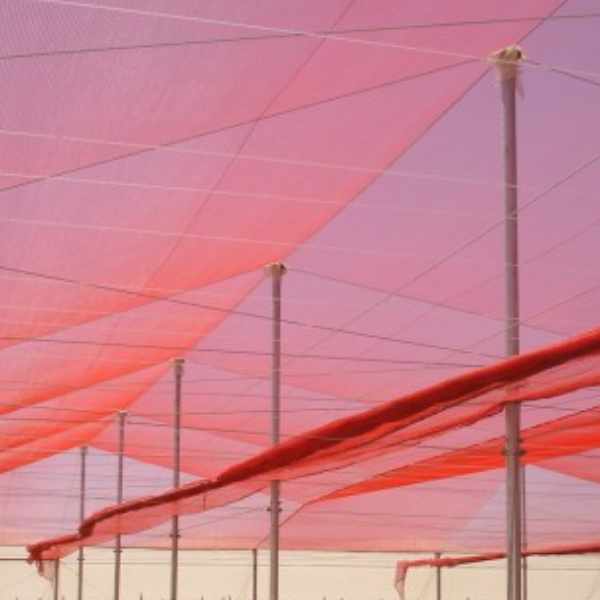 imagem mostrando um exemplo instalado da tela de sombreamento vermelho